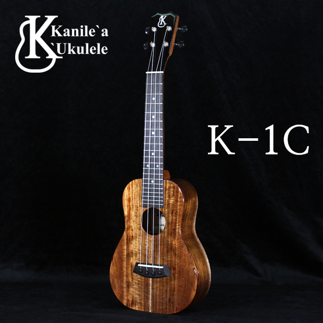 (1대) K-1C 카닐레아 콘서트