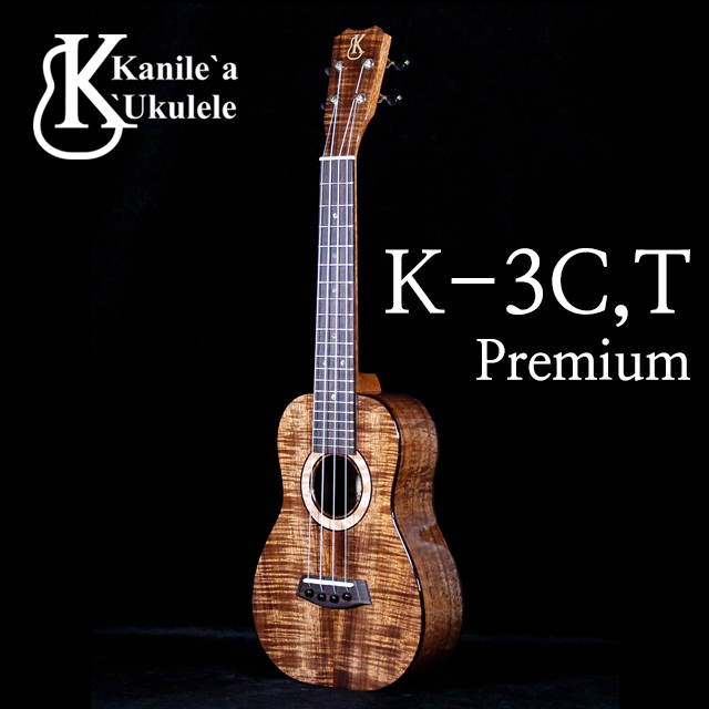 (예약) K-3C,T premium 콘서트/테너