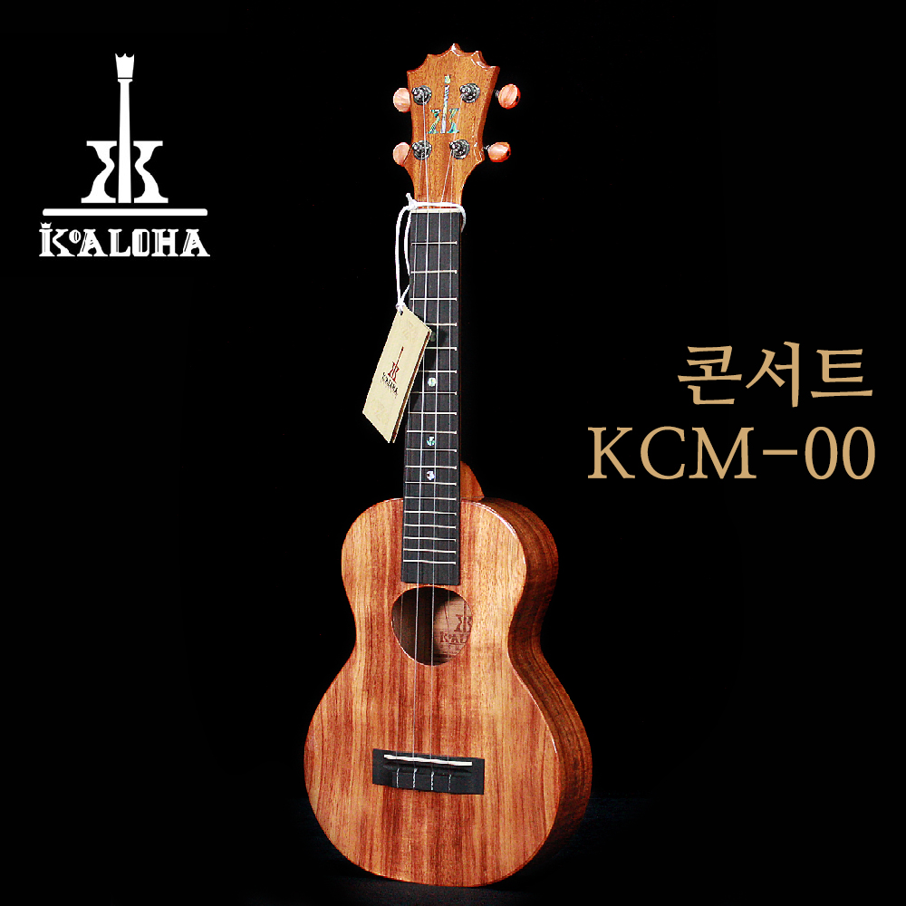 코알로하 KCM-00 콘서트