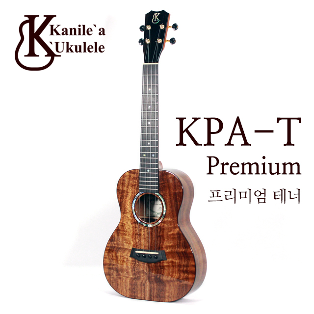 (1대)KPA-T Premium 