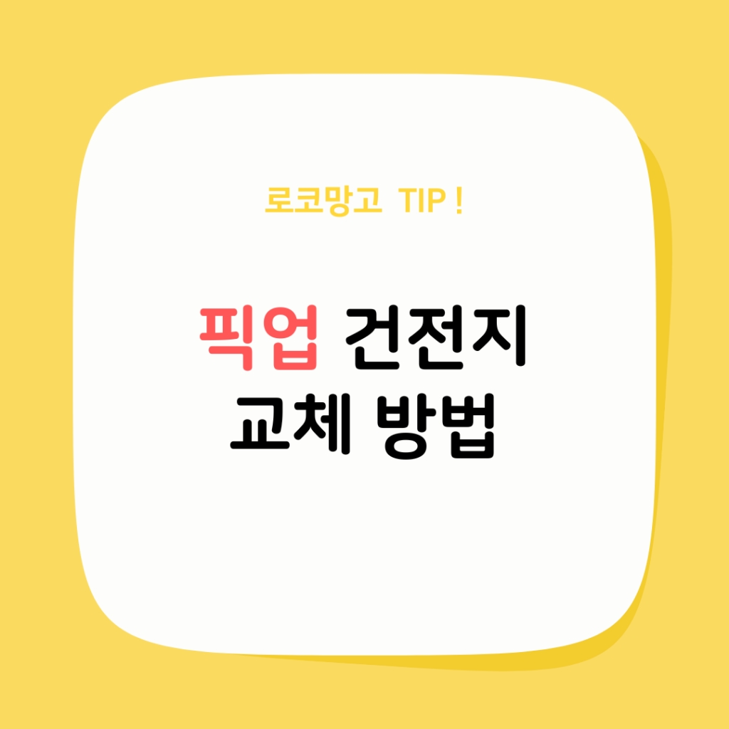 위즈 브라운 픽업 건전지 교체