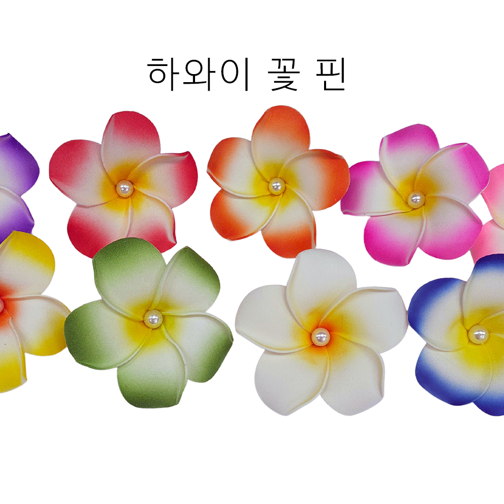 플루메리아 꽃핀