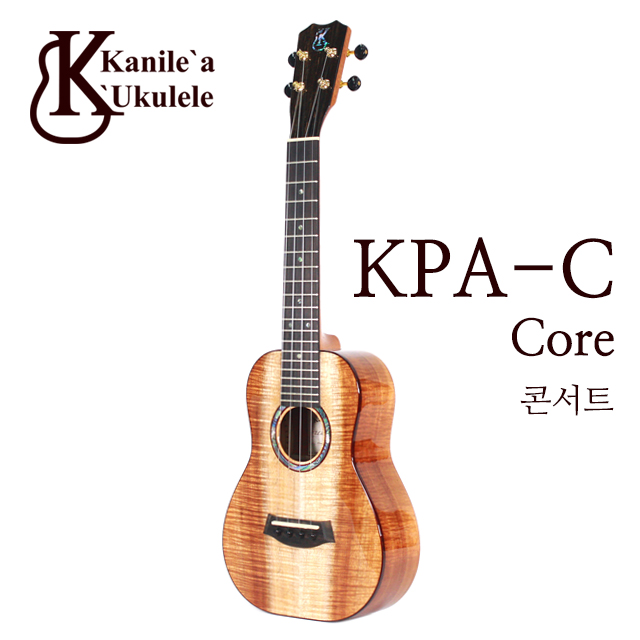 (1대)KPA-C Core 프리미엄 콘서트